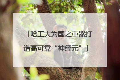 哈工大为国之重器打造高可靠“神经元”