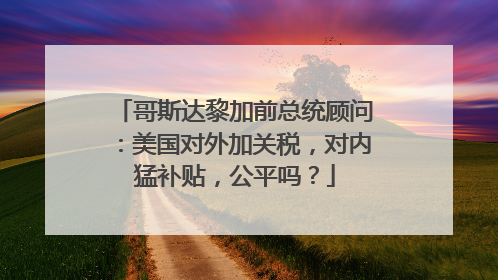 哥斯达黎加前总统顾问：美国对外加关税，对内猛补贴，公平吗？