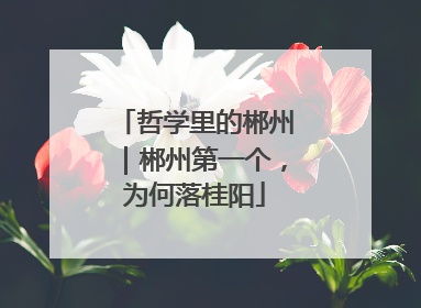 哲学里的郴州｜郴州第一个，为何落桂阳