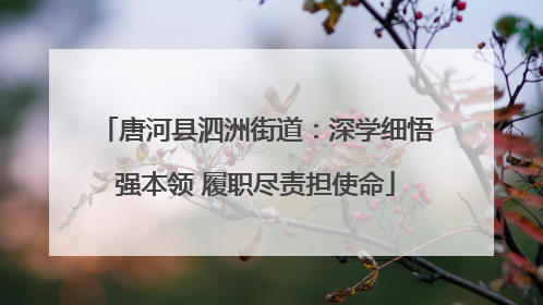 唐河县泗洲街道：深学细悟强本领 履职尽责担使命
