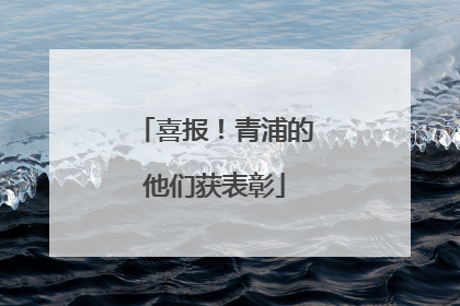 喜报！青浦的他们获表彰