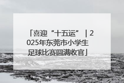 喜迎“十五运”｜2025年东莞市小学生足球比赛圆满收官