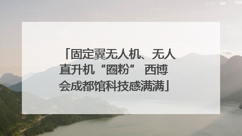 固定翼无人机、无人直升机“圈粉” 西博会成都馆科技感满满