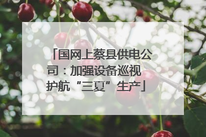 国网上蔡县供电公司：加强设备巡视 护航“三夏”生产