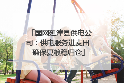 国网延津县供电公司：供电服务进麦田 确保夏粮稳归仓