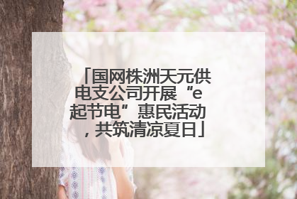 国网株洲天元供电支公司开展“e起节电”惠民活动，共筑清凉夏日
