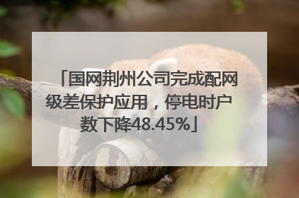 国网荆州公司完成配网级差保护应用，停电时户数下降48.45%