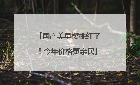 国产美早樱桃红了！今年价格更亲民