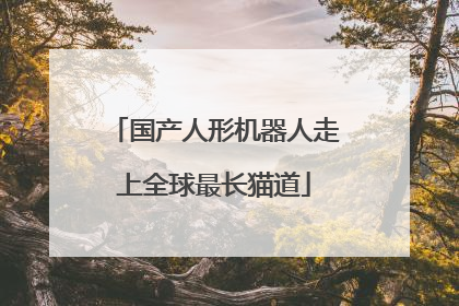 国产人形机器人走上全球最长猫道