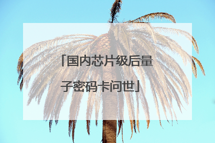 国内芯片级后量子密码卡问世