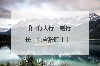 国有大行一副行长，官宣辞职！