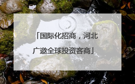 国际化招商，河北广邀全球投资客商