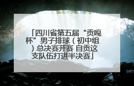 四川省第五届“贡嘎杯”男子排球（初中组）总决赛开赛 自贡这支队伍打进半决赛