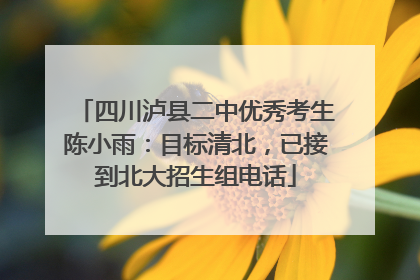 四川泸县二中优秀考生陈小雨：目标清北，已接到北大招生组电话