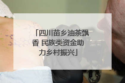 四川苗乡油茶飘香 民族类资金助力乡村振兴