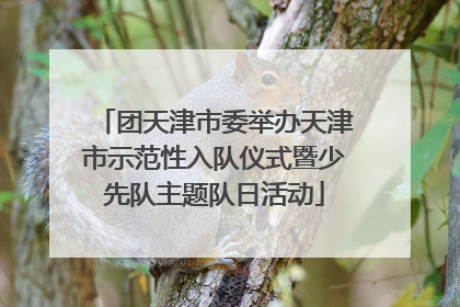 团天津市委举办天津市示范性入队仪式暨少先队主题队日活动