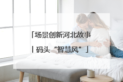 场景创新河北故事丨码头“智慧风”