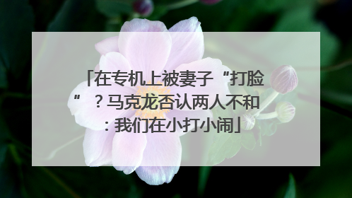 在专机上被妻子“打脸”？马克龙否认两人不和：我们在小打小闹