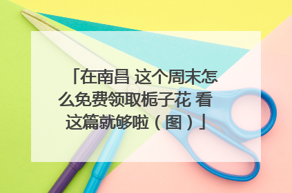 在南昌 这个周末怎么免费领取栀子花 看这篇就够啦（图）