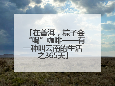 在普洱，粽子会“喝”咖啡——有一种叫云南的生活之365天