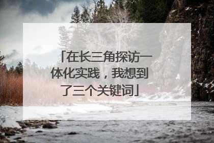 在长三角探访一体化实践，我想到了三个关键词