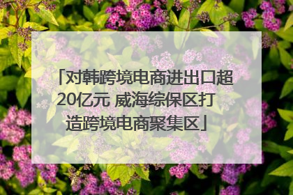 对韩跨境电商进出口超20亿元 威海综保区打造跨境电商聚集区