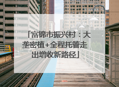 富锦市振兴村：大垄密植+全程托管走出增收新路径