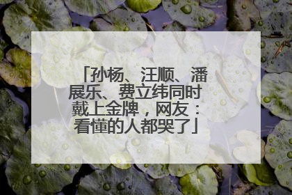 孙杨、汪顺、潘展乐、费立纬同时戴上金牌，网友：看懂的人都哭了