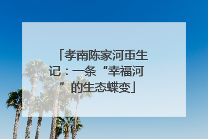 孝南陈家河重生记：一条“幸福河”的生态蝶变