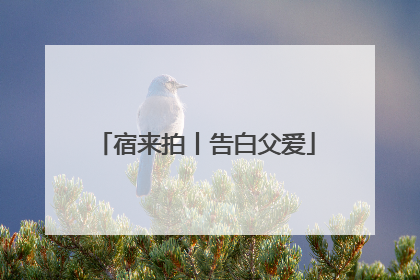 宿来拍丨告白父爱