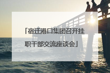宿迁港口集团召开挂职干部交流座谈会