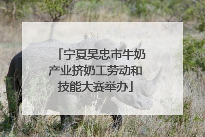 宁夏吴忠市牛奶产业挤奶工劳动和技能大赛举办