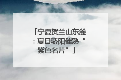 宁夏贺兰山东麓：夏日骄阳催熟“紫色名片”