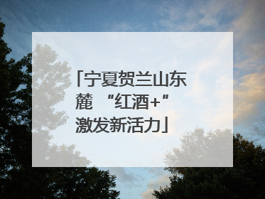 宁夏贺兰山东麓 “红酒+”激发新活力
