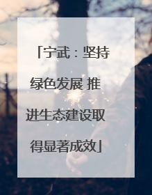 宁武：坚持绿色发展 推进生态建设取得显著成效