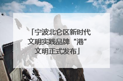 宁波北仑区新时代文明实践品牌“港”文明正式发布