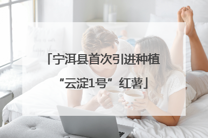 宁洱县首次引进种植“云淀1号”红薯