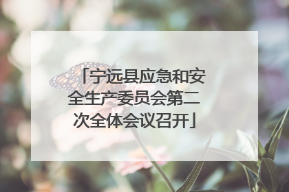 宁远县应急和安全生产委员会第二次全体会议召开
