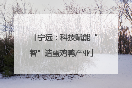 宁远：科技赋能“智”造蛋鸡鸭产业