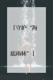 守护“海底雨林”