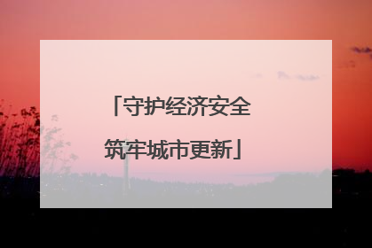 守护经济安全 筑牢城市更新