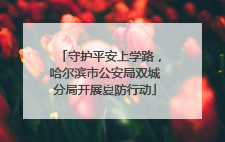 守护平安上学路，哈尔滨市公安局双城分局开展夏防行动