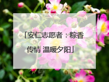 安仁志愿者：粽香传情 温暖夕阳