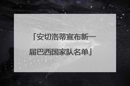 安切洛蒂宣布新一届巴西国家队名单