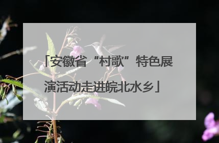 安徽省“村歌”特色展演活动走进皖北水乡