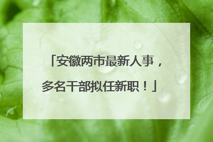 安徽两市最新人事，多名干部拟任新职！
