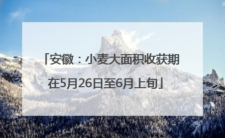 安徽：小麦大面积收获期在5月26日至6月上旬