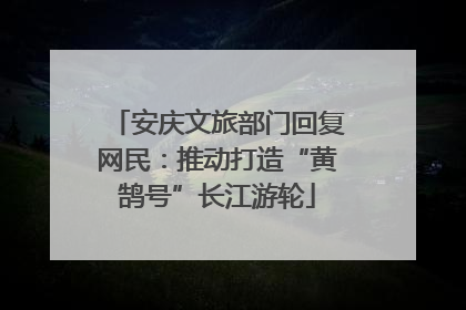 安庆文旅部门回复网民：推动打造“黄鹄号”长江游轮