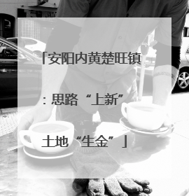 安阳内黄楚旺镇：思路“上新” 土地“生金”