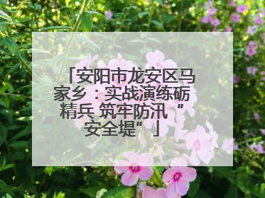 安阳市龙安区马家乡：实战演练砺精兵 筑牢防汛“安全堤”
